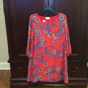 NWT Everly long sleeved Shift Dress